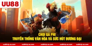 Chọi Gà Phi: Truyền Thống Văn Hóa Và Sức Hút Đương Đại